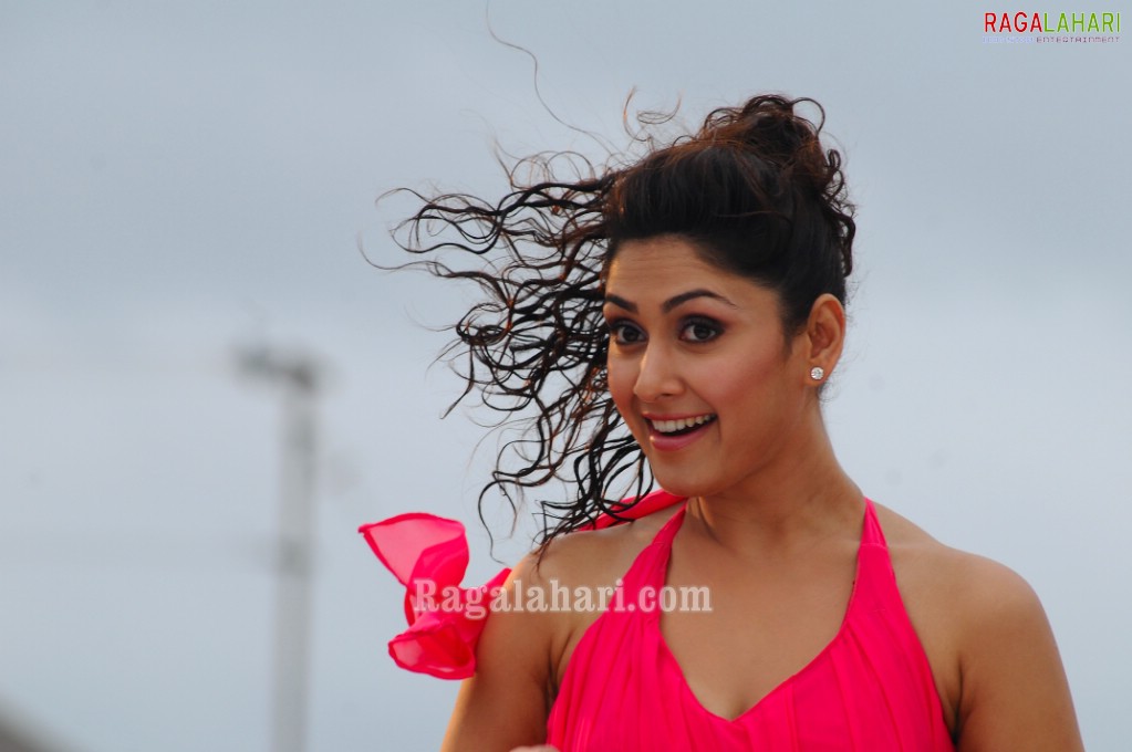 Manjari Fadnis